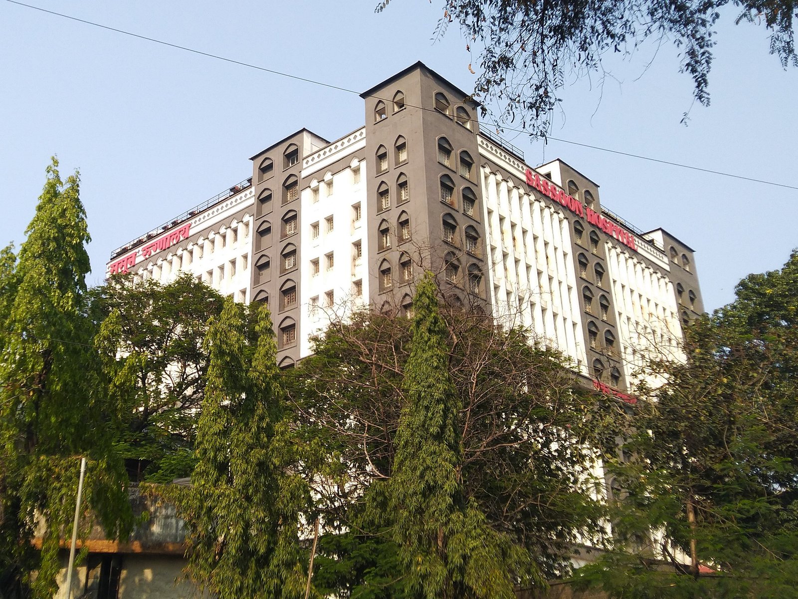 Sassoon Hospital Icon
